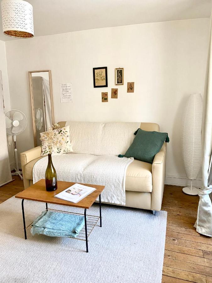 Appart Cosy Dans Le Vieux Tours Apartment Екстериор снимка